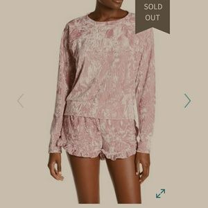 Free Press Crushed Velvet Pullover Sweatshirt Top